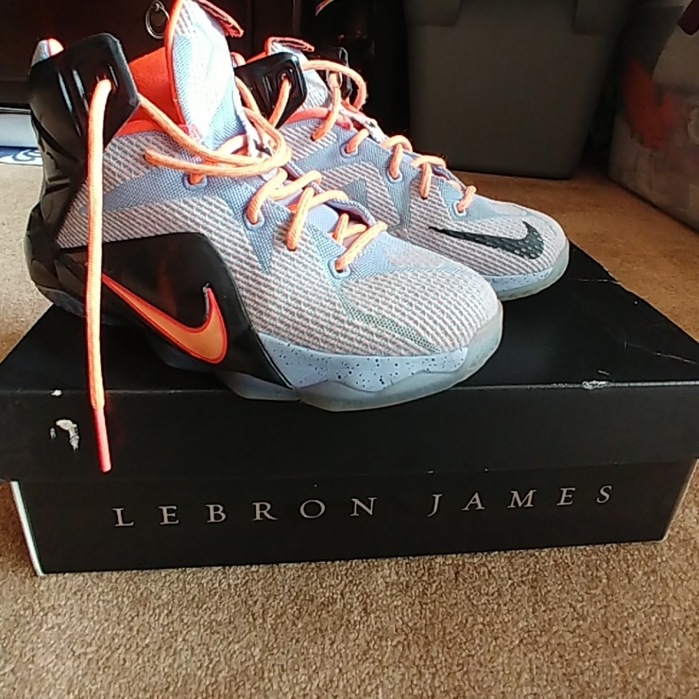 Lebron James basketball shoes